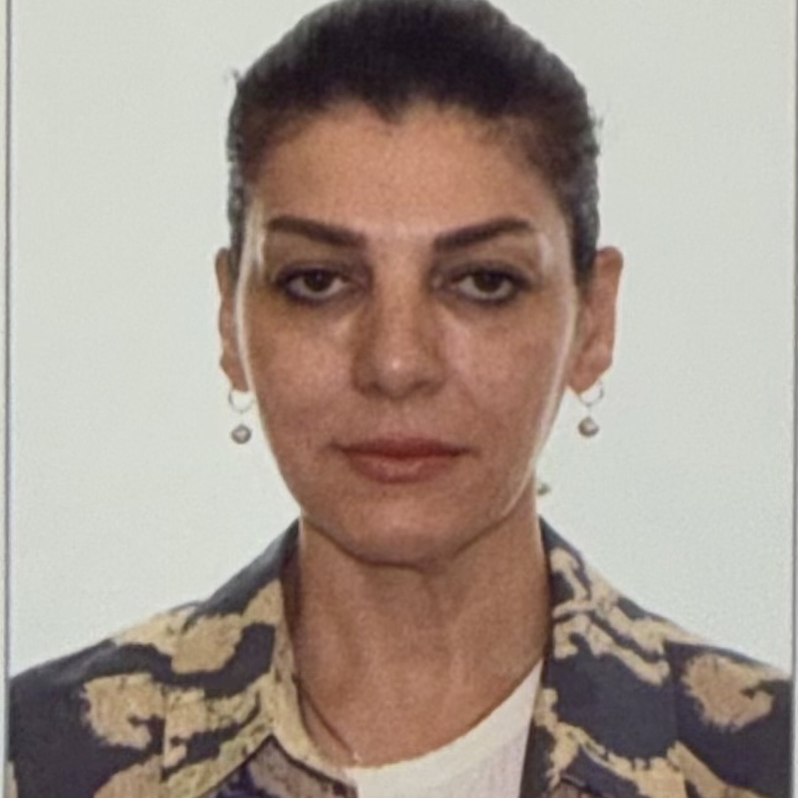 Nasrin Abdollahi